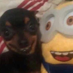 Meet your Posher, Holly